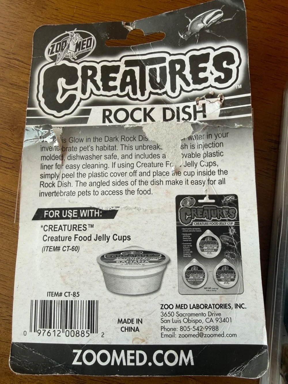 Glow-in-the-Dark Rock Dish – Blue